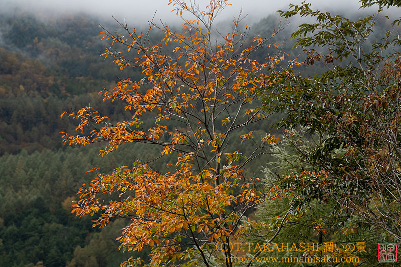 ../Images/7R241020 (59).jpg